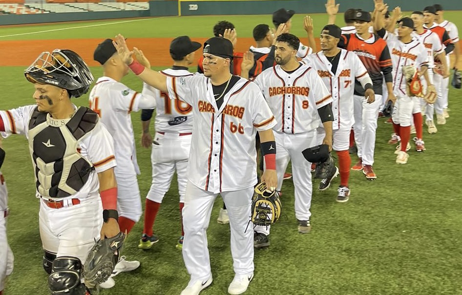 Leones de Patillas vs Cachorros de Ponce Baseball Doble A 