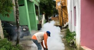 Jornada de fumigación contra el del virus el Oropouche. Inter News Service