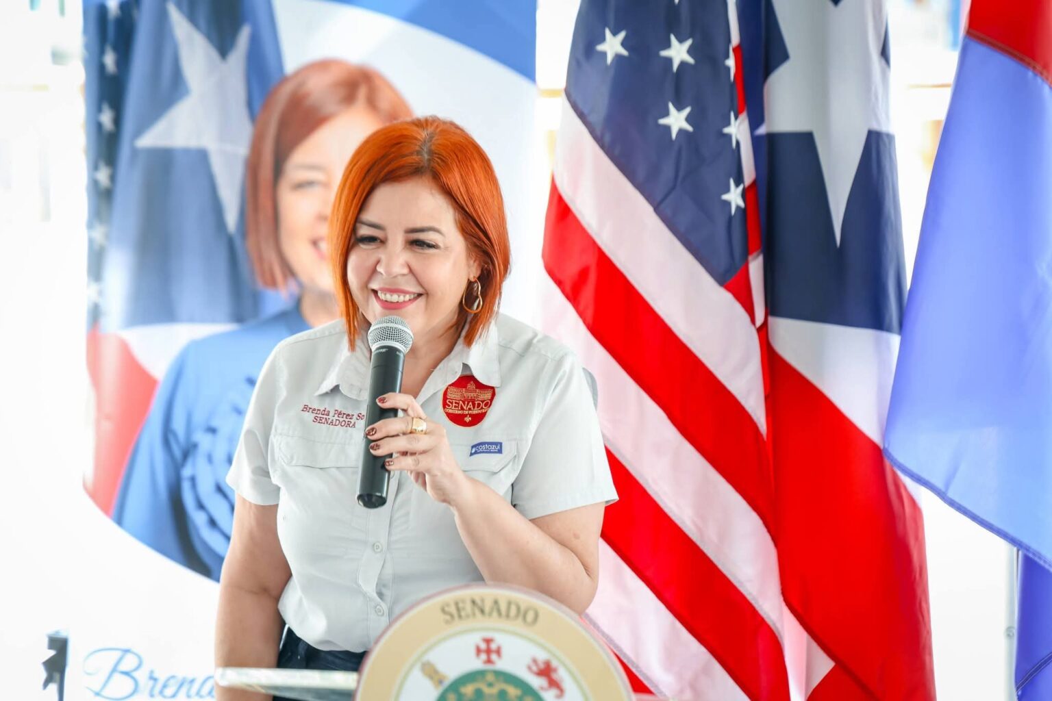 P. Rico-Senado celebrará la cultura y el turismo con el Festival ...