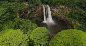 El gobierno dominicano decidió para combatir con medidas drásticas el terrorismo ambiental en las áreas protegidas y parques del país. (Fuente externa). Inter News Service