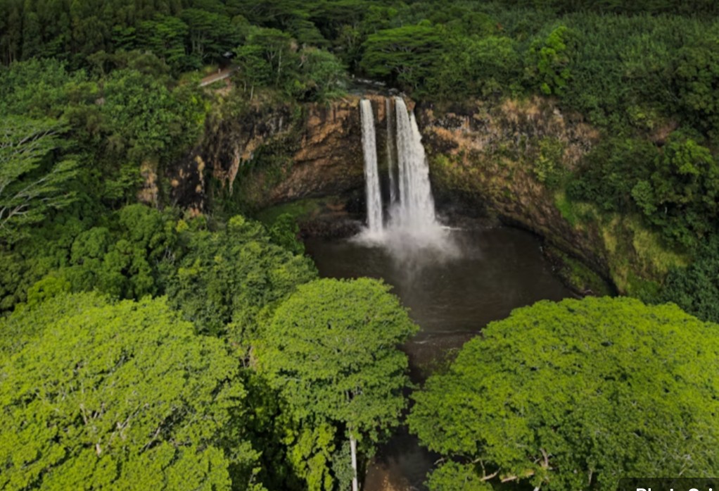 El gobierno dominicano decidió para combatir con medidas drásticas el terrorismo ambiental en las áreas protegidas y parques del país. (Fuente externa). Inter News Service